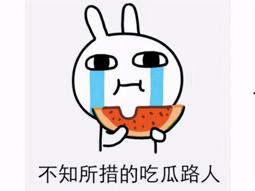 吃瓜违法,揭秘吃瓜违法背后的法律红线