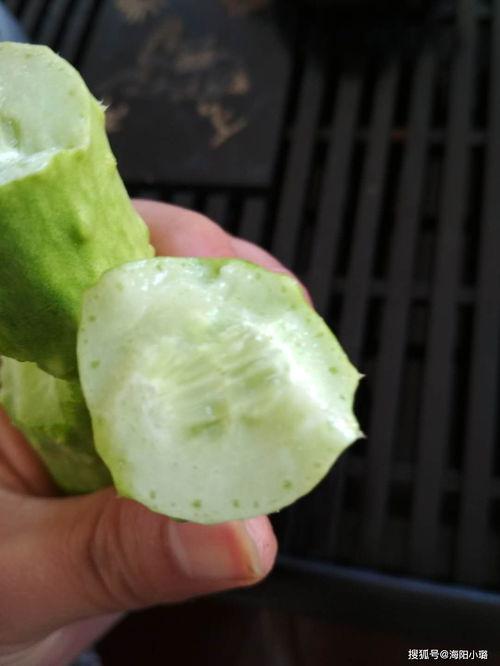 白玉瓜怎么吃,解锁美味新体验