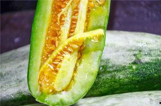 吃瓜角,一场味蕾与视觉的盛宴