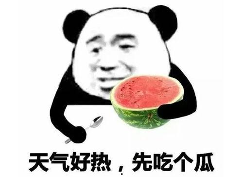 吃瓜老表,一场别开生面的“瓜界”盛宴